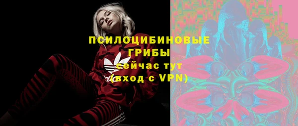 2c-b Алзамай