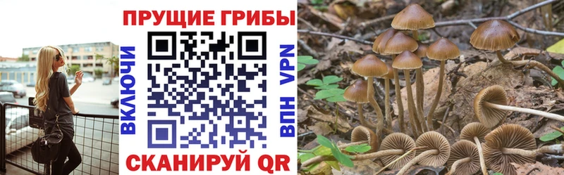 Галлюциногенные грибы мицелий  купить наркотики сайты  hydra сайт  Алзамай 
